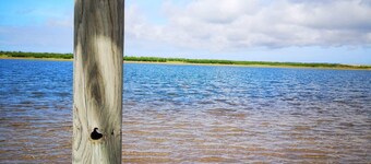 Vent du Stort, miljövänligt hus i Marennes Plage vid havet