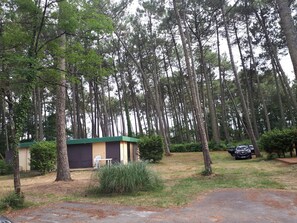 المنطقة المحيطة بالمنشأة