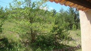 Vista desde un porche cubierto sobre un paisaje natural con árboles y una valla de madera.