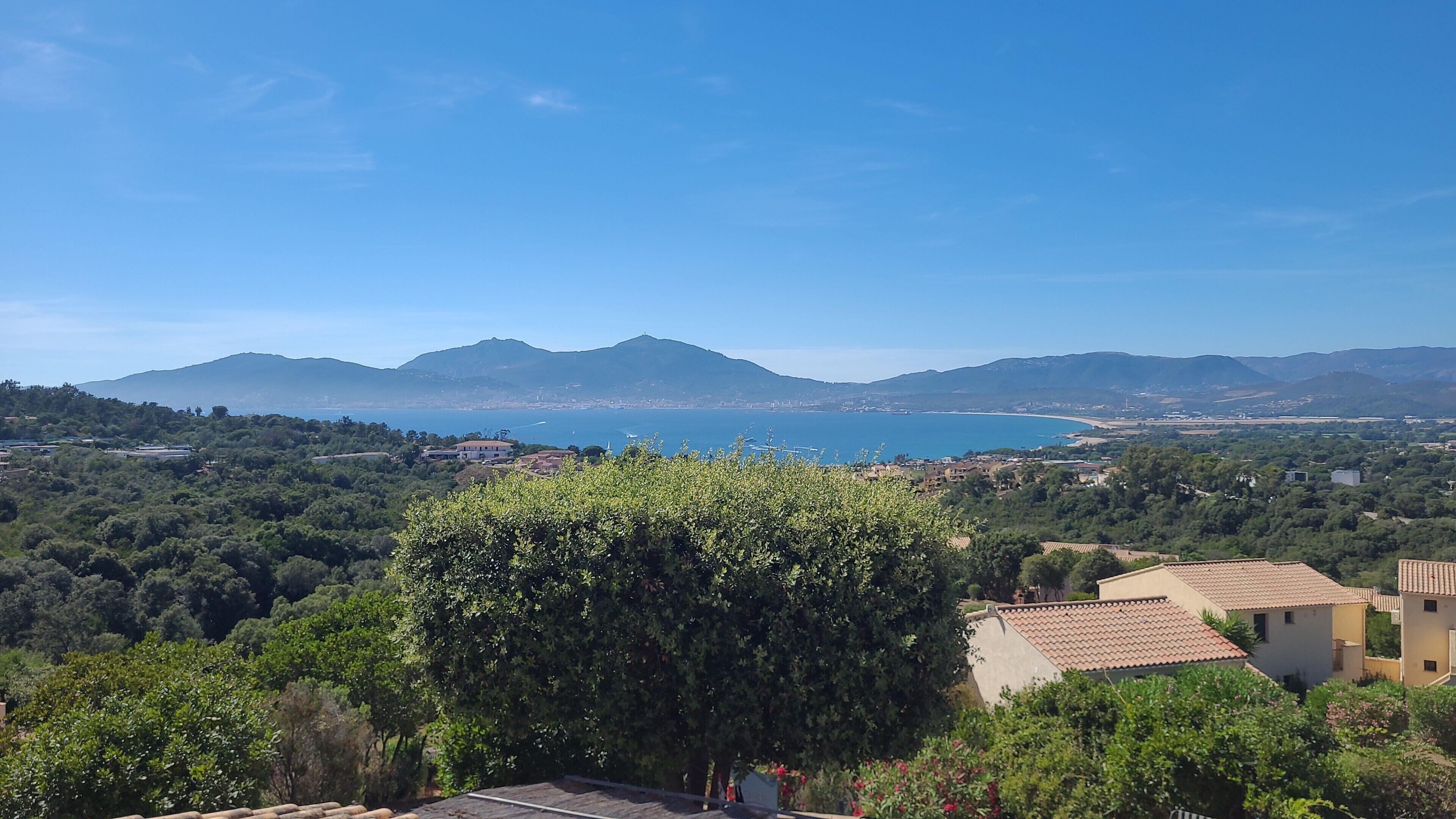 A coastal landscape with a prominent tree in the foreground, a clear blue sky, and distant mountains.