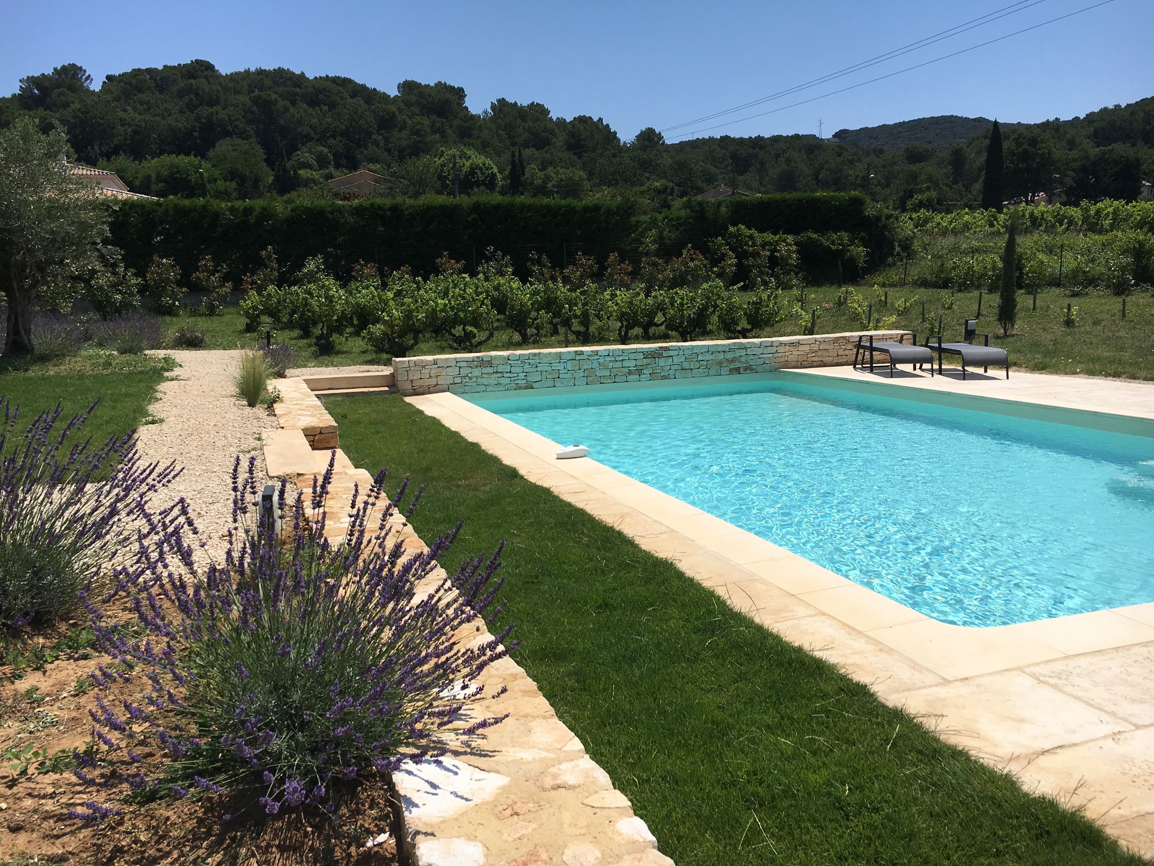 Une piscine rectangulaire bordée de pierres, entourée d’une pelouse bien entretenue et de plantes de lavande.