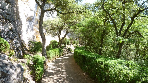 A narrow, paved path flanked by lush greenery and a rocky cliff.