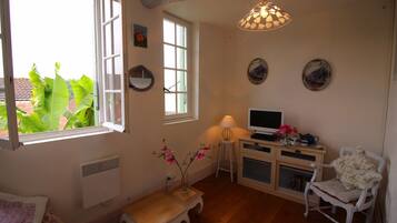 TV connectée, cheminée, lecteur de DVD, livres