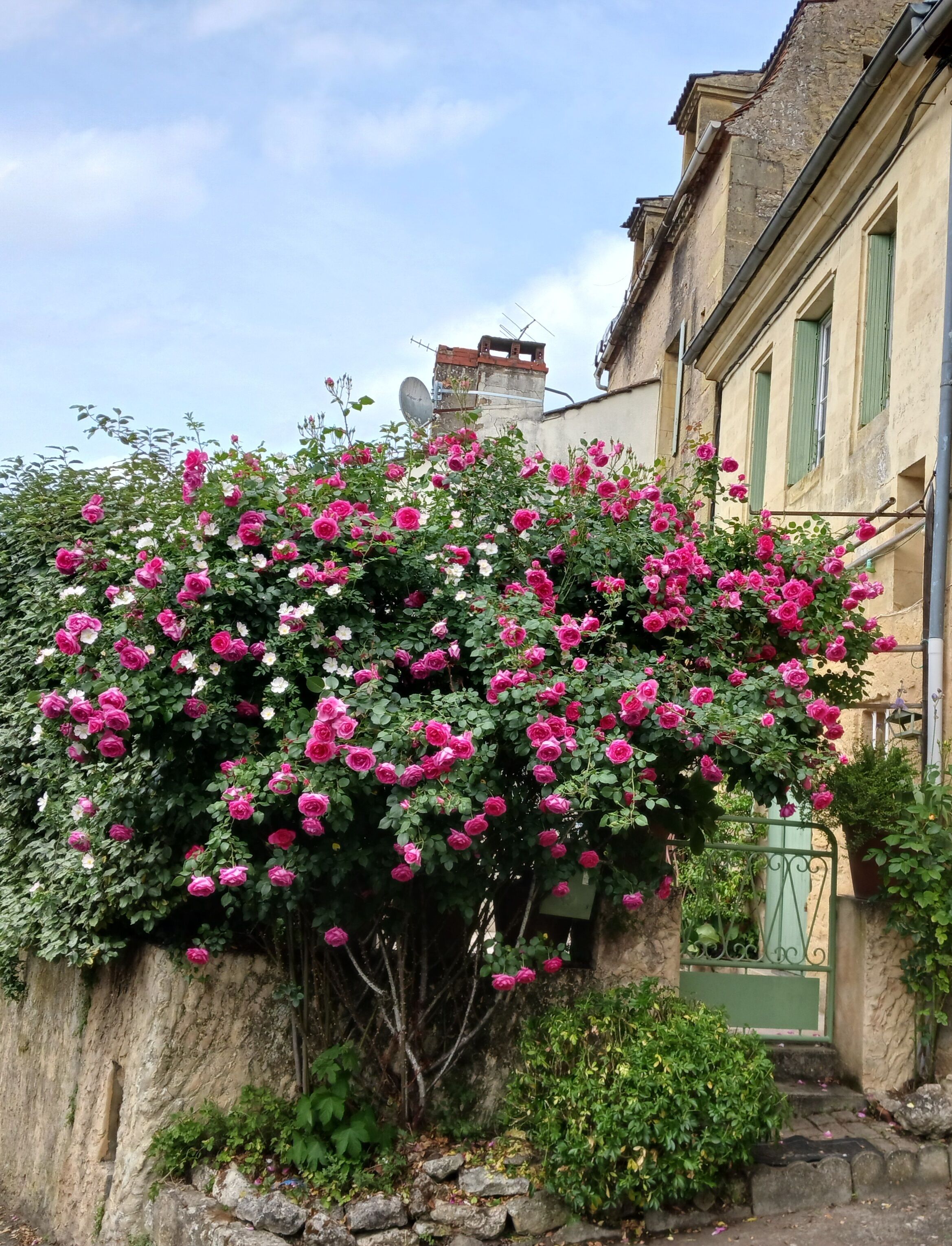 Enceinte de l’hébergement