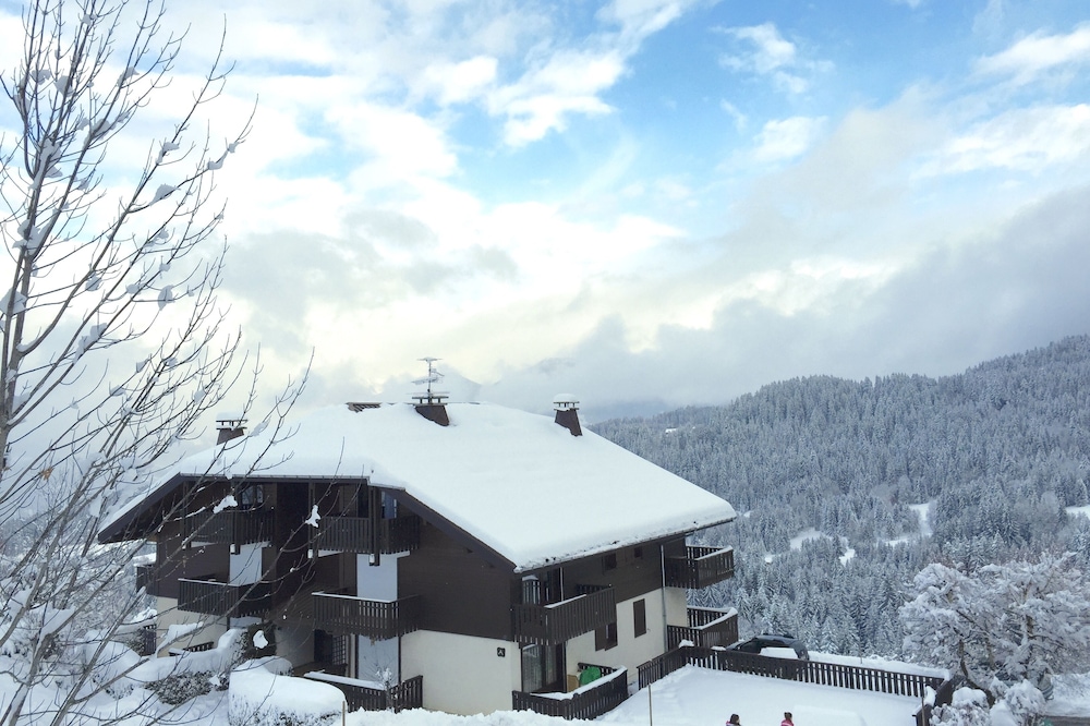 Charming studio facing Mont Blanc