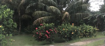 Villa, 3 bedrooms in quiet wooded and flowered area - sea and countryside views