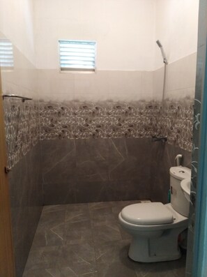 Hair dryer, towels, toilet paper