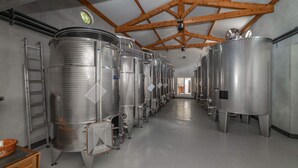 Une rangée de cuves de fermentation en acier inoxydable dans une pièce de type entrepôt, avec des poutres en bois apparentes et un sol en béton.