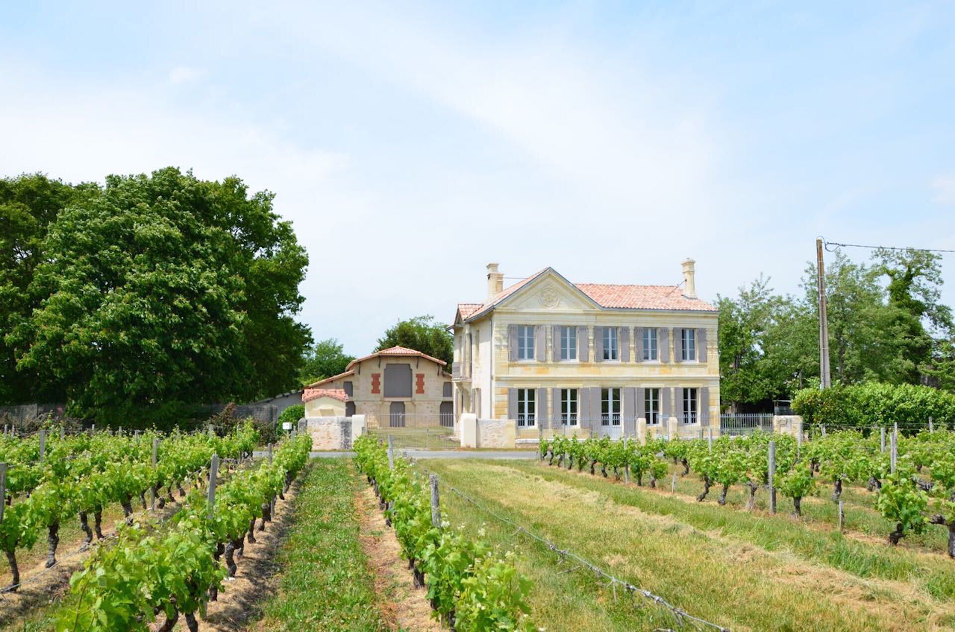 Château La Tour Blanche, surrounded by vineyards and 25 minutes from the beaches