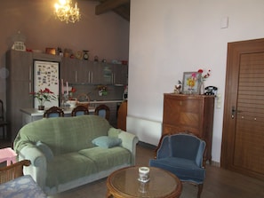 Televisor, llar de foc, reproductor de DVD i llibres