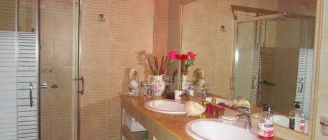 Hair dryer, towels, soap, shampoo