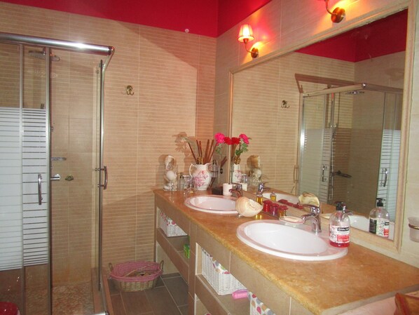 Secador de cabelo, toalhas de banho, sabonete, shampoo