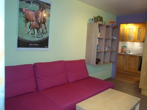Smart TV, DVD player, books - Apartment "Bellevue" Les Breuleux, Jura, Switzerland (Les Breuleux)
