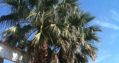 L' IMPASSE EN CAMARGUE ; Gite de luxe .