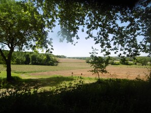 Property grounds - small house in a haven of peace (Sainte-Maure-de-Peyriac)