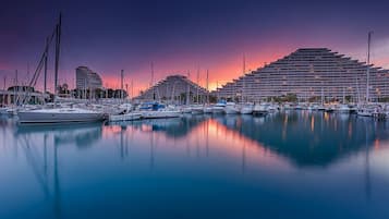 Marina