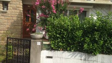 Detalle del exterior