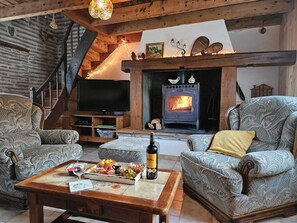 电视、壁炉、DVD 播放器、书