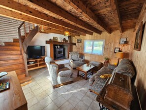 TV, fireplace, DVD player, books