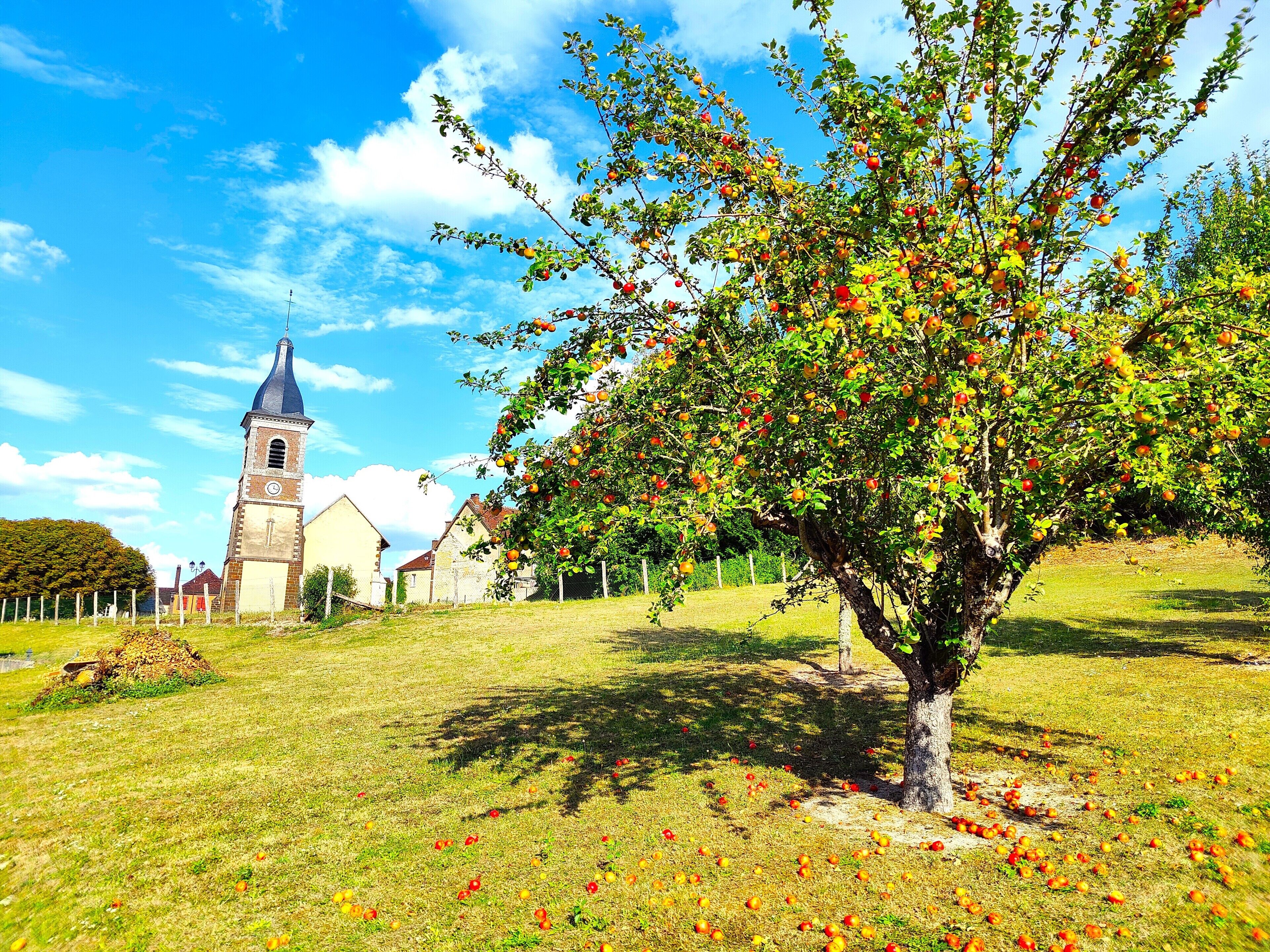 Charming cottage. CHABLIS, GUEDELON, PUISAYE, VEZELAY, AUXERRE/BOURGOGNE/CHATEAU