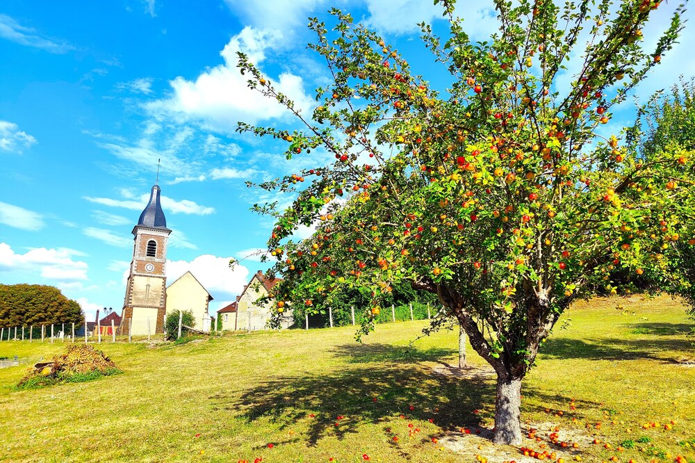 Charming cottage. CHABLIS, GUEDELON, PUISAYE, VEZELAY, AUXERRE/BOURGOGNE/CHATEAU