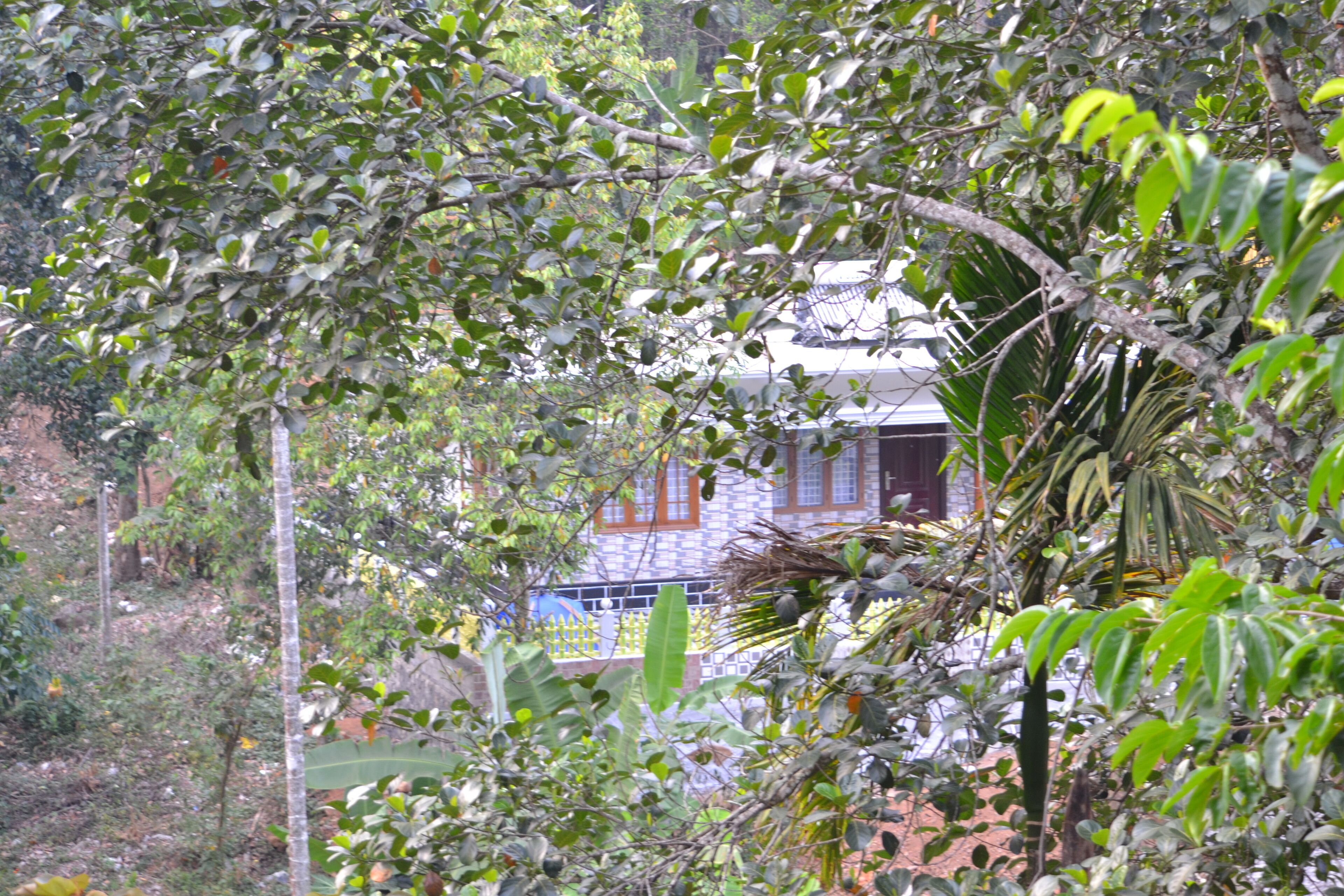 3Bedroom Villa Suitable for family/Group 