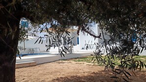 A sandy outdoor area with a pool, white building, and a tree. - Dar AESHA (Without Vis à Vis) (Djerba)