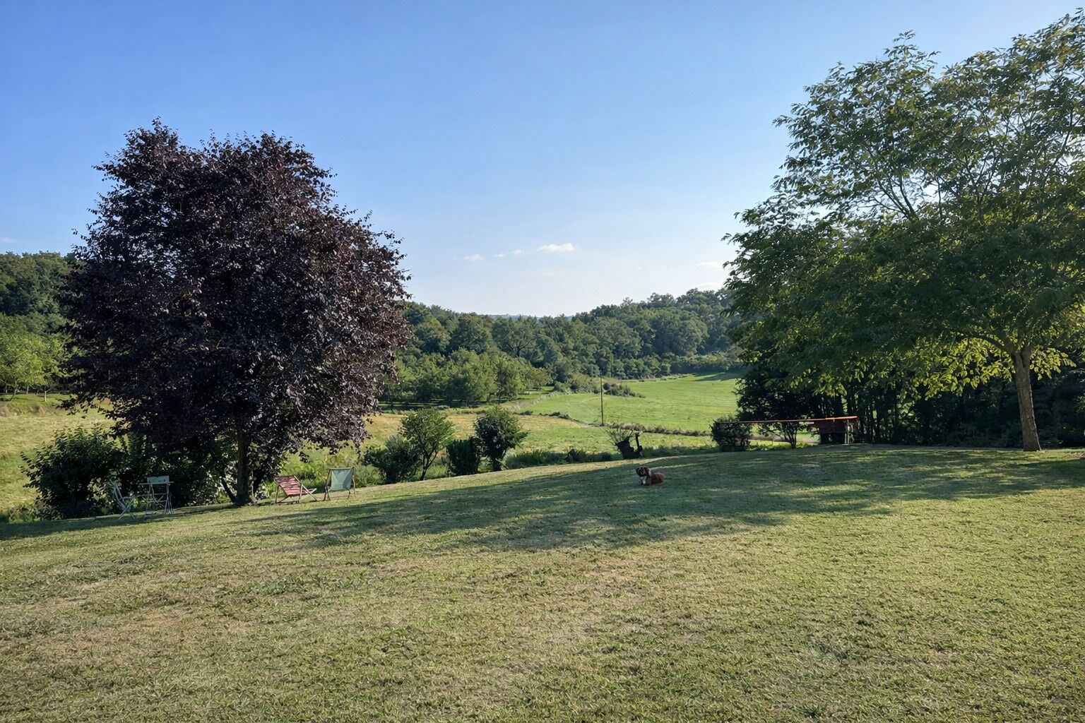 A grassy field with trees and a clear sky.