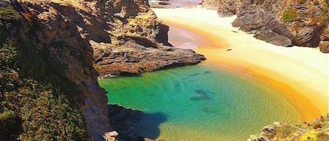 Playa