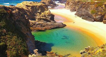 EcoLodge Bungalow ...