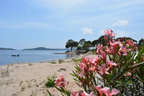 Perto da praia 