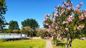 Un jardin avec un sentier, des tables de pique-nique et une piscine entourée d’une clôture.