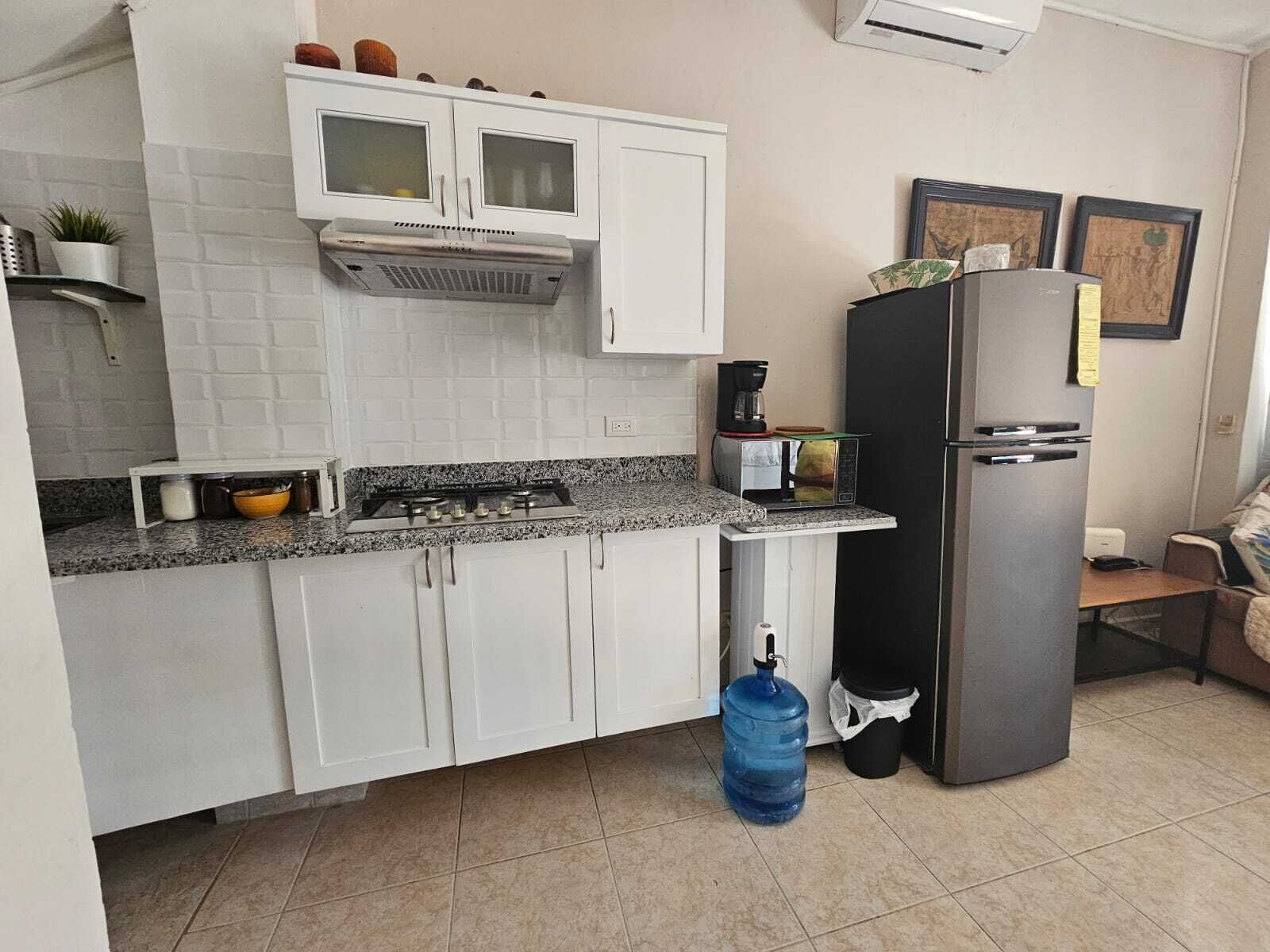 Une cuisine de taille réduite, avec des meubles blancs, une cuisinière à gaz, un four à micro-ondes et un réfrigérateur.