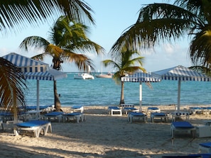 A beach with striped umbrellas, lounge chairs, and palm trees.