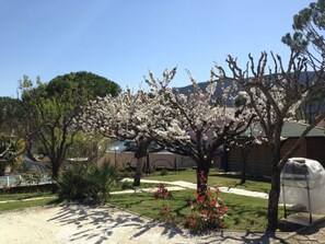 A garden with a blooming tree, a covered structure, and a building in the background. - Villa FEEL HOME - Domaine des Flacheres (Dieulefit)