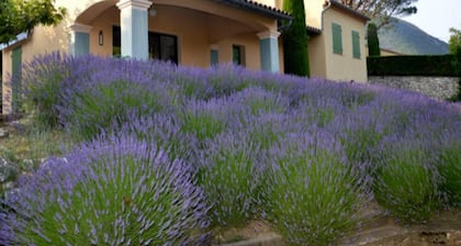 Villa FEEL HOME - Domaine des Flacheres