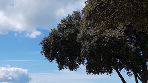 Un camí pavimentat que condueix a una zona amb seients i vista al mar.