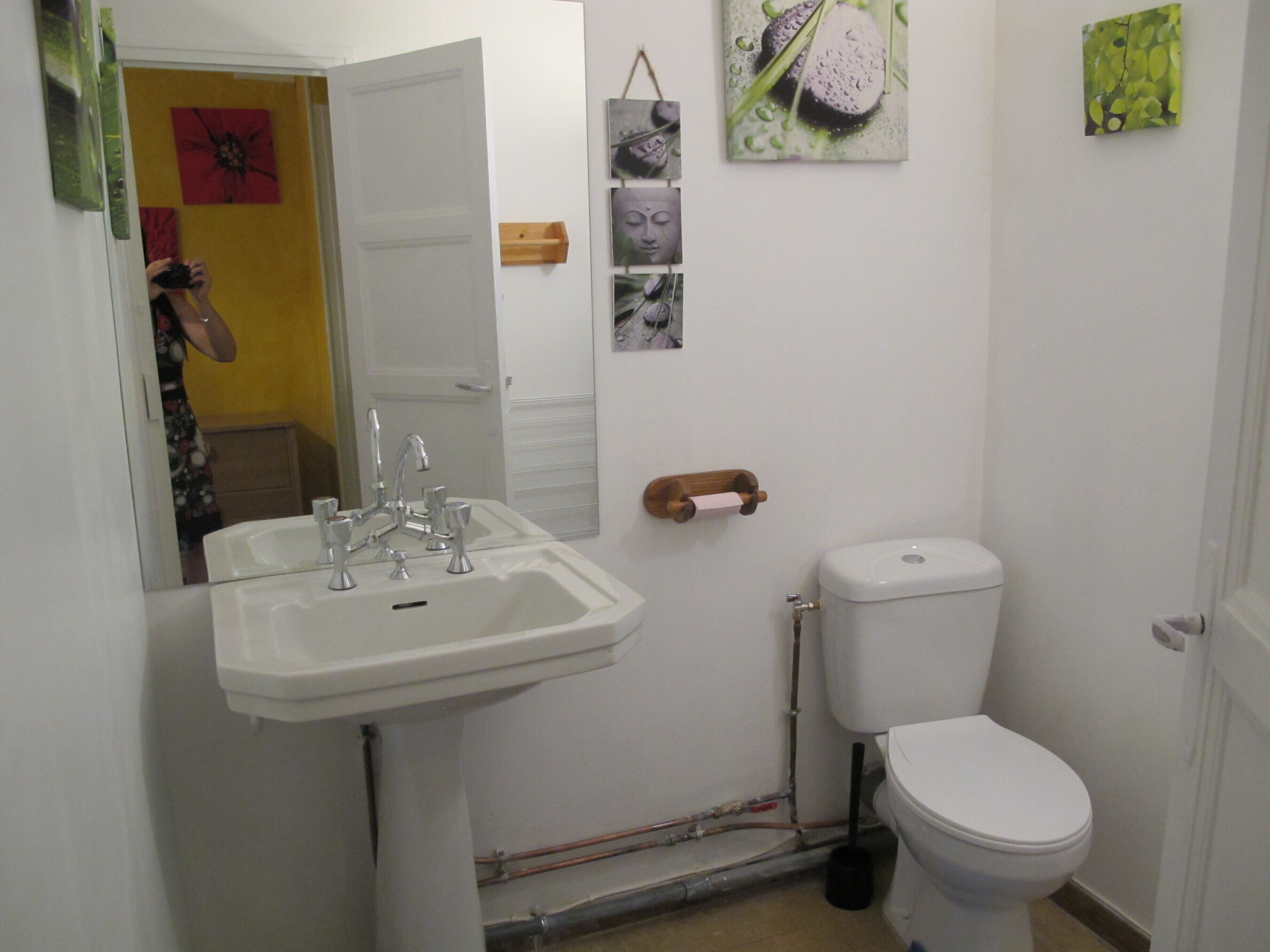 Une salle de bain avec un lavabo blanc, des toilettes et un miroir.