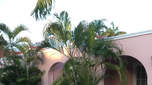 Un jardin avec des palmiers, un sentier en pierre et un bâtiment orné d’arches.