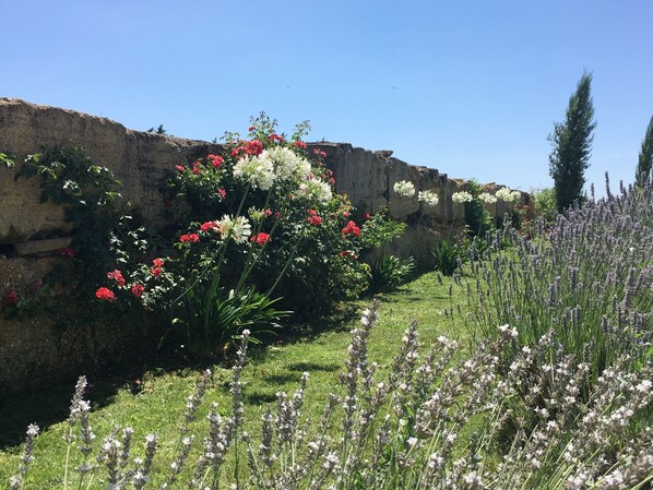 A garden with a variety of flowers and plants, a stone wall, and a grassy area.