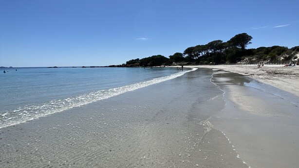 A beach with clear skies, calm water, and a sandy shore.