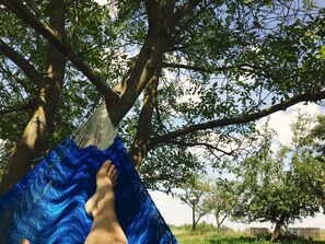 A hammock hanging from a tree branch, with a person's foot visible underneath. - Cosy farmhouse in the masurian countryside (Skowrony)