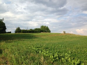 A grassy field with trees and hay bales in the background. - Cosy farmhouse in the masurian countryside (Skowrony)