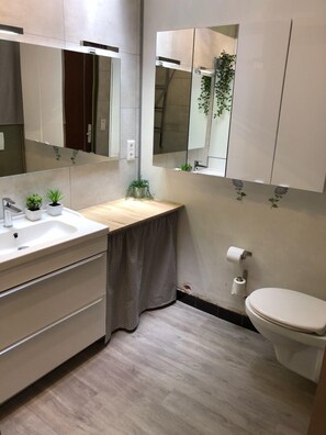 Dusche, Haartrockner, Handtücher, Seife