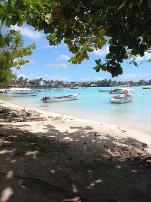 ビーチの近く、サンラウンジャー