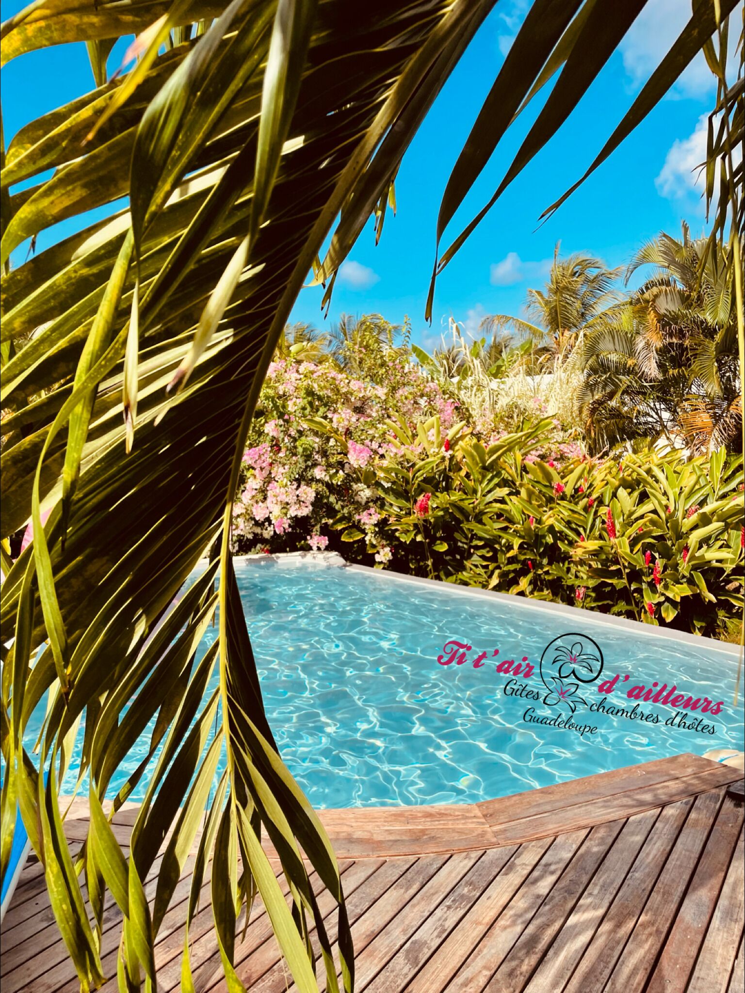 حمّام سباحة خارجي