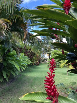 Parco della struttura