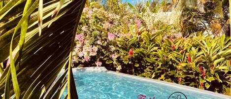 A wooden deck leading to a clear blue pool surrounded by lush tropical plants and palm trees.