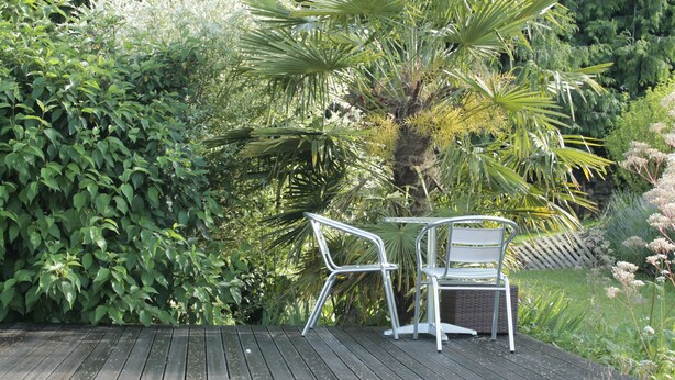 A wooden deck with two metal chairs and a table, surrounded by lush greenery and a palm tree. - Homestay (Pontvallain)