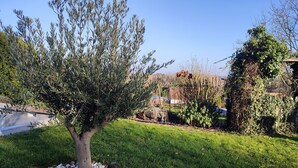 A garden with a tree, a rock garden, and a grassy area. - Homestay (Pontvallain)